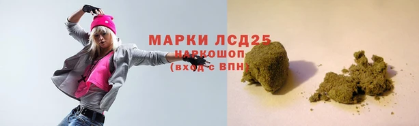 шишки Медногорск