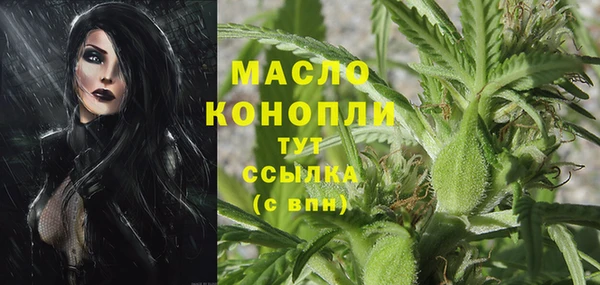 шишки Медногорск