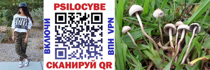 гидра сайт  Зея  Галлюциногенные грибы Cubensis  купить закладку 